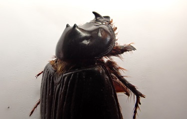 P1303444a.jpg